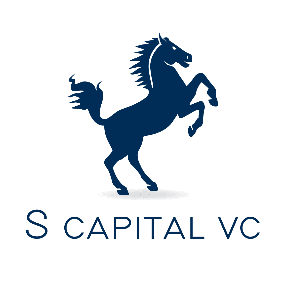 S Capital VC Logo