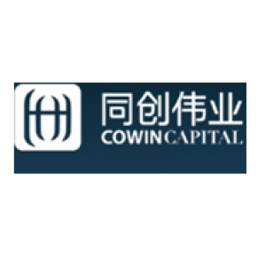 Shenzhen Co-Win Venture Capital Logo