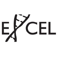 Excel Venture Management Logo