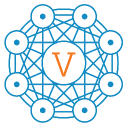 Network Society Ventures Logo