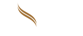 Falcon Partners Logo