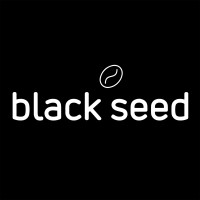 Black Seed Ventures Logo