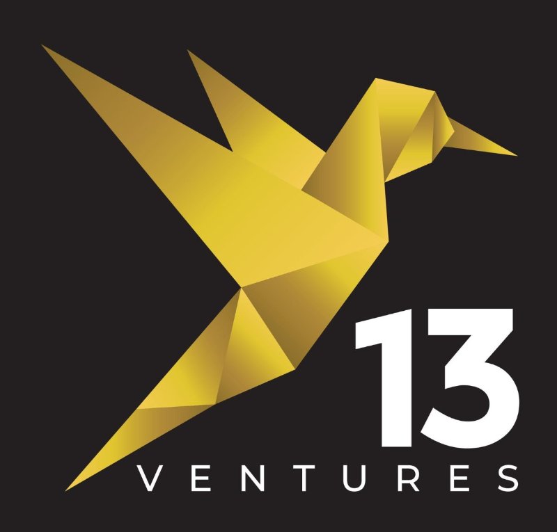 The 13 Ventures Logo