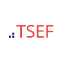TSEF The Social Entrepreneurs' Fund Logo