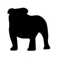 Bulldog Innovation Group Logo