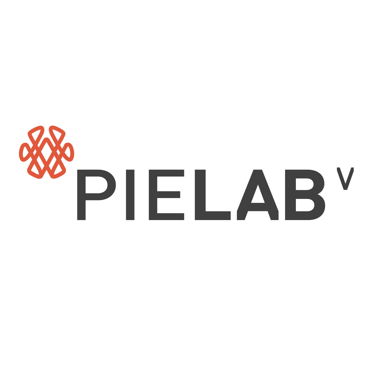 Pielab Venture Partners Logo