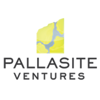 Pallasite Ventures Logo