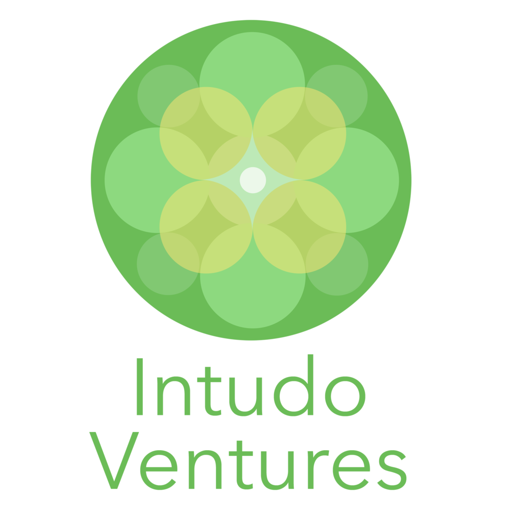 Intudo Ventures Logo