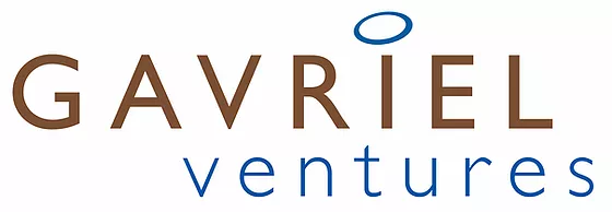 Gavriel Ventures Logo