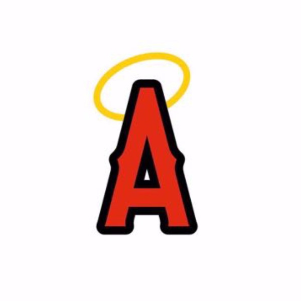 Northeast Angels Logo