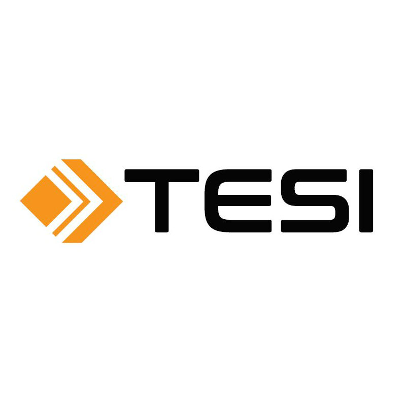 Tesi Logo