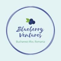 Blueberry Ventures Logo