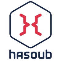Hasoub Angels (formerly the Arab angels club) Logo
